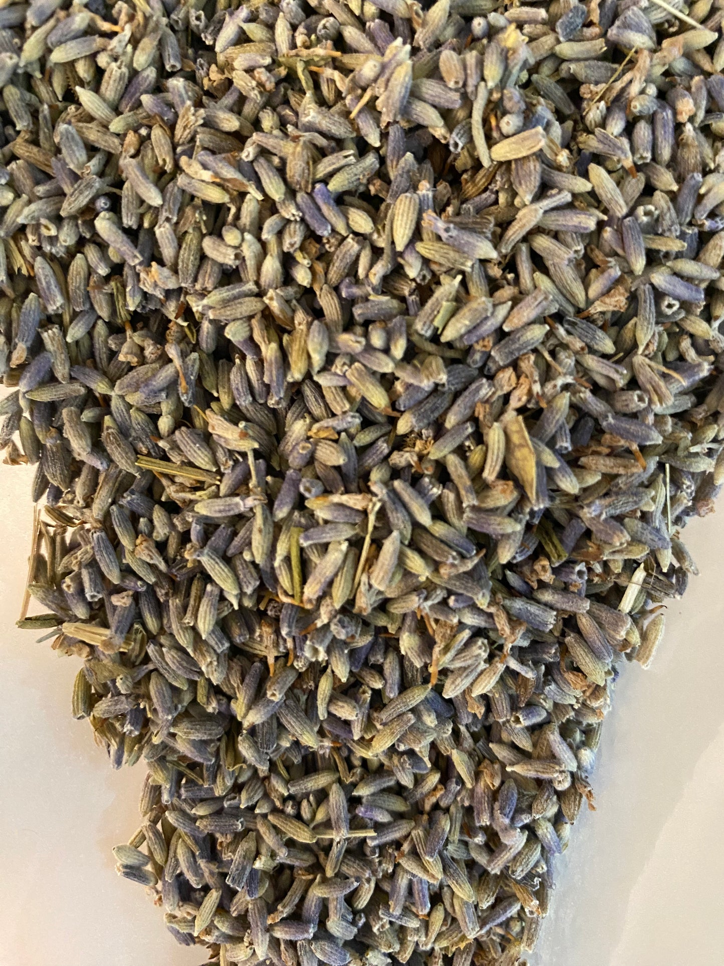 Premium Lavender Buds